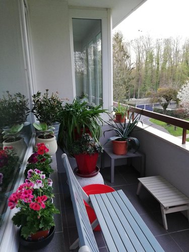 Appartement a vendre Cormontreuil 51350 Marne 89 m2 4 pièces 259500 euros