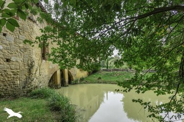 Maison a vendre L'Isle-Arné 32270 Gers 480 m2 10 pièces 955000 euros