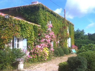 Maison a vendre Val en Vignes 79290 Deux-Sèvres 201 m2 9 pièces 281912 euros