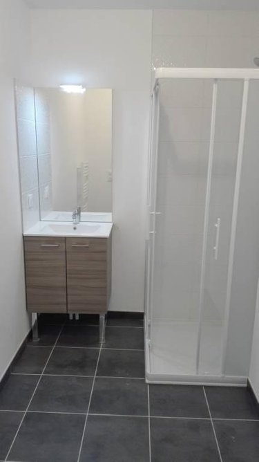 Location appartement Rouen 76000 Seine-Maritime 40 m2 2 pièces 600 euros