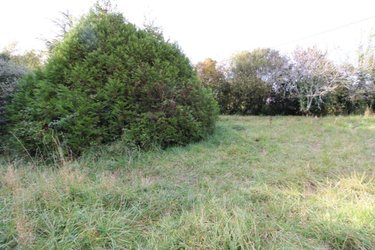Terrain a batir a vendre Le Palais 56360 Morbihan 2137 m2  362250 euros