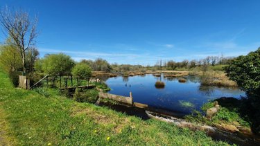 Maison a vendre Langonnet 56630 Morbihan 113 m2 5 pièces 179100 euros