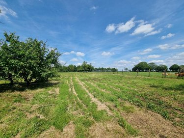 Maison a vendre Febvin-Palfart 62960 Pas-de-Calais 114 m2 5 pièces 136180 euros