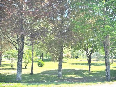 Maison a vendre Saint-Épain 37800 Indre-et-Loire 88 m2 5 pièces 184500 euros