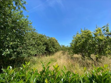 Maison a vendre La Boussac 35120 Ille-et-Vilaine 85 m2 3 pièces 168280 euros