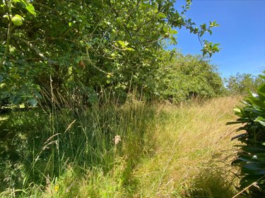 Maison a vendre La Boussac 35120 Ille-et-Vilaine 85 m2 3 pièces 168280 euros