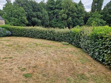 Maison a vendre Plumelec 56420 Morbihan 85 m2 4 pièces 182350 euros