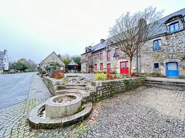 Maison a vendre Lizio 56460 Morbihan 260 m2  228000 euros