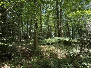 Divers a vendre Orbec 14290 Calvados 14560 m2  18970 euros