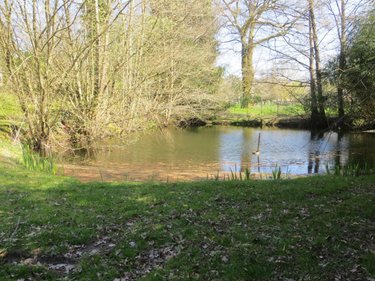 Maison a vendre Mesnil-Clinchamps 14380 Calvados 200 m2 7 pièces 263700 euros