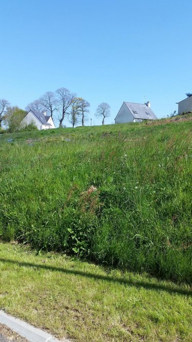 Terrain a batir a vendre Le Quillio 22460 Côtes-d'Armor 731 m2  11000 euros