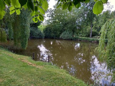 Terrains de loisirs bois etangs a vendre Parçay-sur-Vienne 37220 Indre-et-Loire 7760 m2  23600 euros