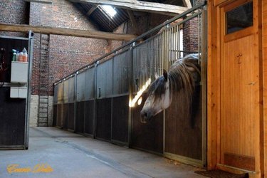 Divers a vendre Élincourt 59127 Nord 2769 m2  150000 euros