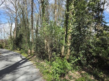 Maison a vendre Château-Gontier-sur-Mayenne 53200 Mayenne 193 m2 8 pièces 445900 euros