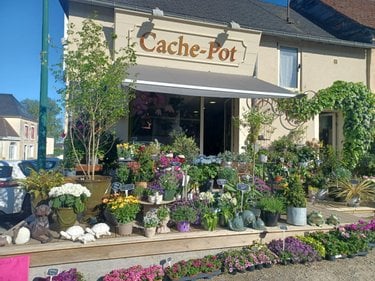 Divers a vendre Domfront-en-Champagne 72240 Sarthe 38 m2  37760 euros