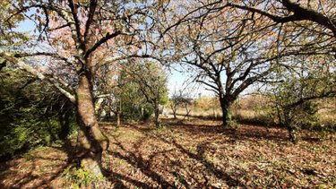 Terrain a batir a vendre L'Île-Bouchard 37220 Indre-et-Loire 1288 m2  29900 euros