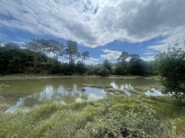 Maison a vendre Plougoumelen 56400 Morbihan 124 m2 5 pièces 445000 euros