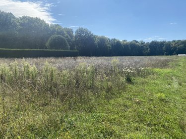 Terrain a batir a vendre Amilly 45200 Loiret 2262 m2  59400 euros
