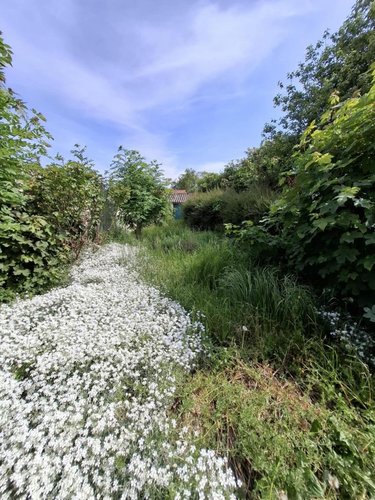 Maison a vendre Lillers 62190 Pas-de-Calais 61 m2 4 pièces 55000 euros