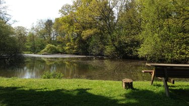 Maison a vendre Cholet 49300 Maine-et-Loire 193 m2 6 pièces 489000 euros