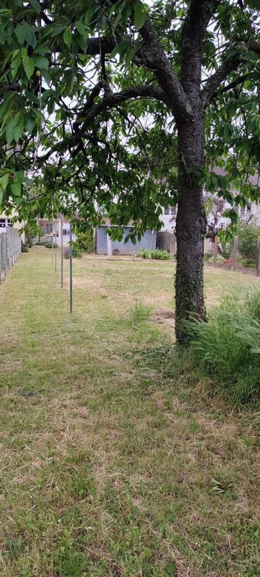 Terrain a batir a vendre Le Mans 72000 Sarthe 558 m2  109522 euros