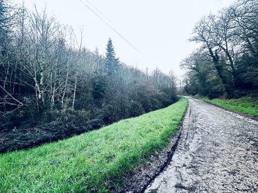 Terrains de loisirs bois etangs a vendre Arzano 29300 Finistère 131500 m2  58600 euros