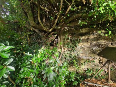 Maison a vendre Pontivy 56300 Morbihan 51 m2 3 pièces 99860 euros