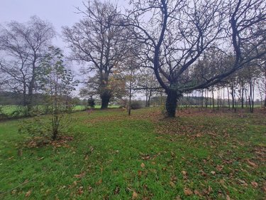 Maison a vendre Moréac 56500 Morbihan 77 m2  99620 euros