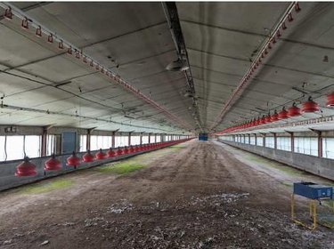 Divers a vendre Plomelin 29700 Finistère 3580 m2  159250 euros