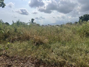 Terrain a batir a vendre Saint-Pierre 97410 Réunion 528 m2  197040 euros