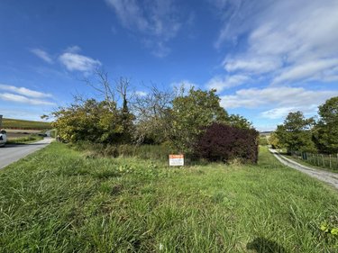 Terrain a batir a vendre Chaumuzy 51170 Marne 1050 m2  137000 euros