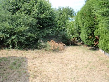 Terrain a batir a vendre Carvin 62220 Pas-de-Calais 1071 m2  74000 euros