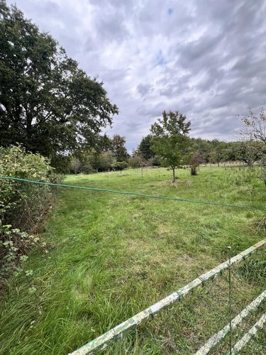 Terrains de loisirs bois etangs a vendre Lunay 41360 Loir-et-Cher 2855 m2  11800 euros