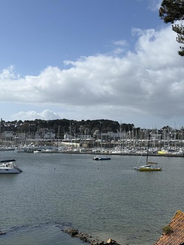 Viager maison La Trinité-sur-Mer 56470 Morbihan 205 m2 7 pièces 1200000 euros