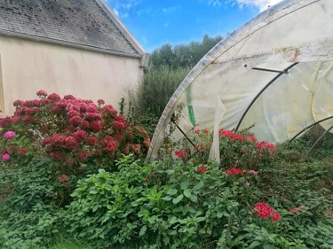 Maison a vendre Saint-Vougay 29440 Finistère 75 m2 3 pièces 88570 euros