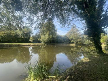 Terrains de loisirs bois etangs a vendre Lombron 72450 Sarthe 5800 m2  19800 euros
