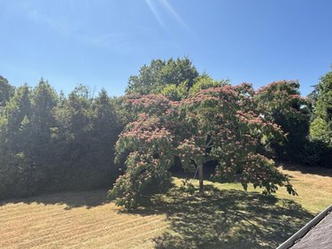 Maison a vendre Fouesnant 29170 Finistère 90 m2 5 pièces 418000 euros
