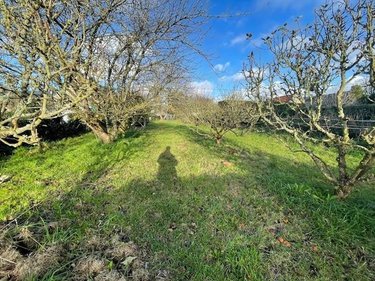 Terrain a batir a vendre Réville 50760 Manche 694 m2  136240 euros