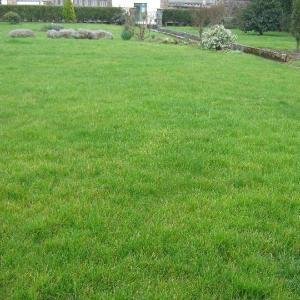Maison a vendre Vire-Normandie 14500 Calvados 100 m2 4 pièces 163500 euros