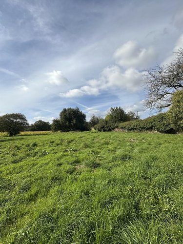 Maison a vendre Cléguer 56620 Morbihan 60 m2 3 pièces 137260 euros