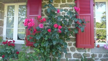 Maison a vendre Saint-Maurice-du-Désert 61600 Orne 176 m2 8 pièces 290500 euros