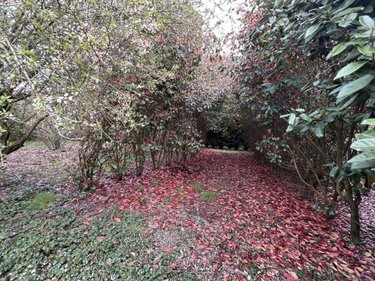 Maison a vendre Lanrelas 22250 Côtes-d'Armor 122 m2 5 pièces 122440 euros