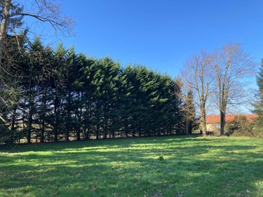 Maison a vendre Saint-André-sur-Vieux-Jonc 01960 Ain 242 m2 10 pièces 500000 euros