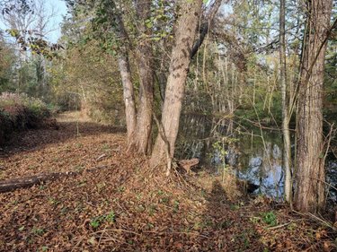 Divers a vendre Courtemaux 45320 Loiret 6670 m2  44000 euros