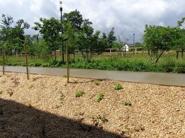 Location appartement Orvault 44700 Loire-Atlantique 59 m2 3 pièces 762 euros