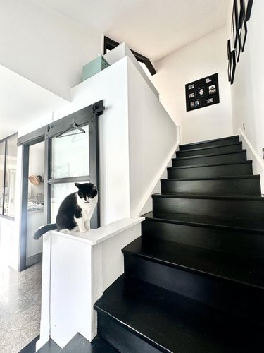 Maison a vendre Lorient 56100 Morbihan 300 m2 9 pièces 856900 euros