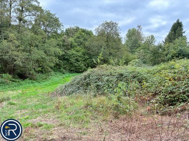 Terrains de loisirs bois etangs a vendre Montaudin 53220 Mayenne 2522 m2  13500 euros