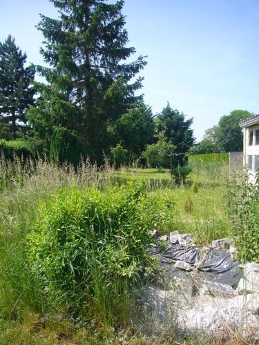 Location maison Bantouzelle 59266 Nord 71 m2 4 pièces 560 euros