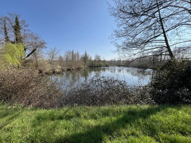 Terrains de loisirs bois etangs a vendre Connerré 72160 Sarthe 18000 m2  85000 euros