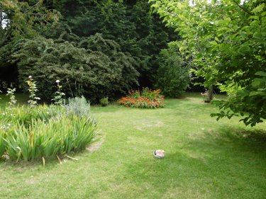 Maison a vendre Gouesnach 29950 Finistère 111 m2 5 pièces 313500 euros